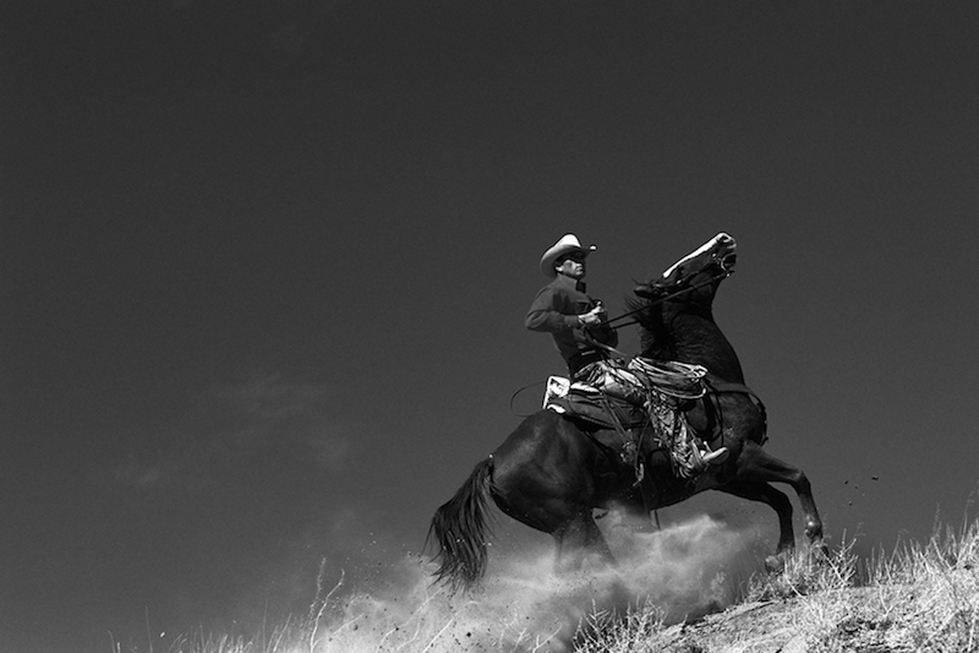 In the search by Hannes Schmid, limited edition photography