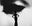 The Looker by Tyler Shields, limited edition photography