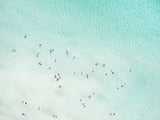 N°TBES14 (The Beach Series, Florida)