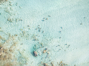 N°TCRBS06 (The Caribean Series, Mexiko)