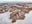 N°TCRDS02 (The Colorado River Delta Series) by Tom Hegen, limited edition photography