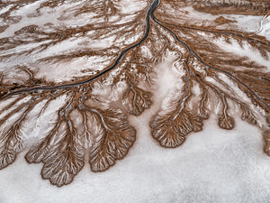 N°TCRDS04 (The Colorado River Delta Series)