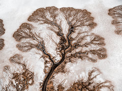 N°TCRDS05 (The Colorado River Delta Series) by Tom Hegen, limited edition photography