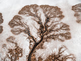N°TCRDS05 (The Colorado River Delta Series)