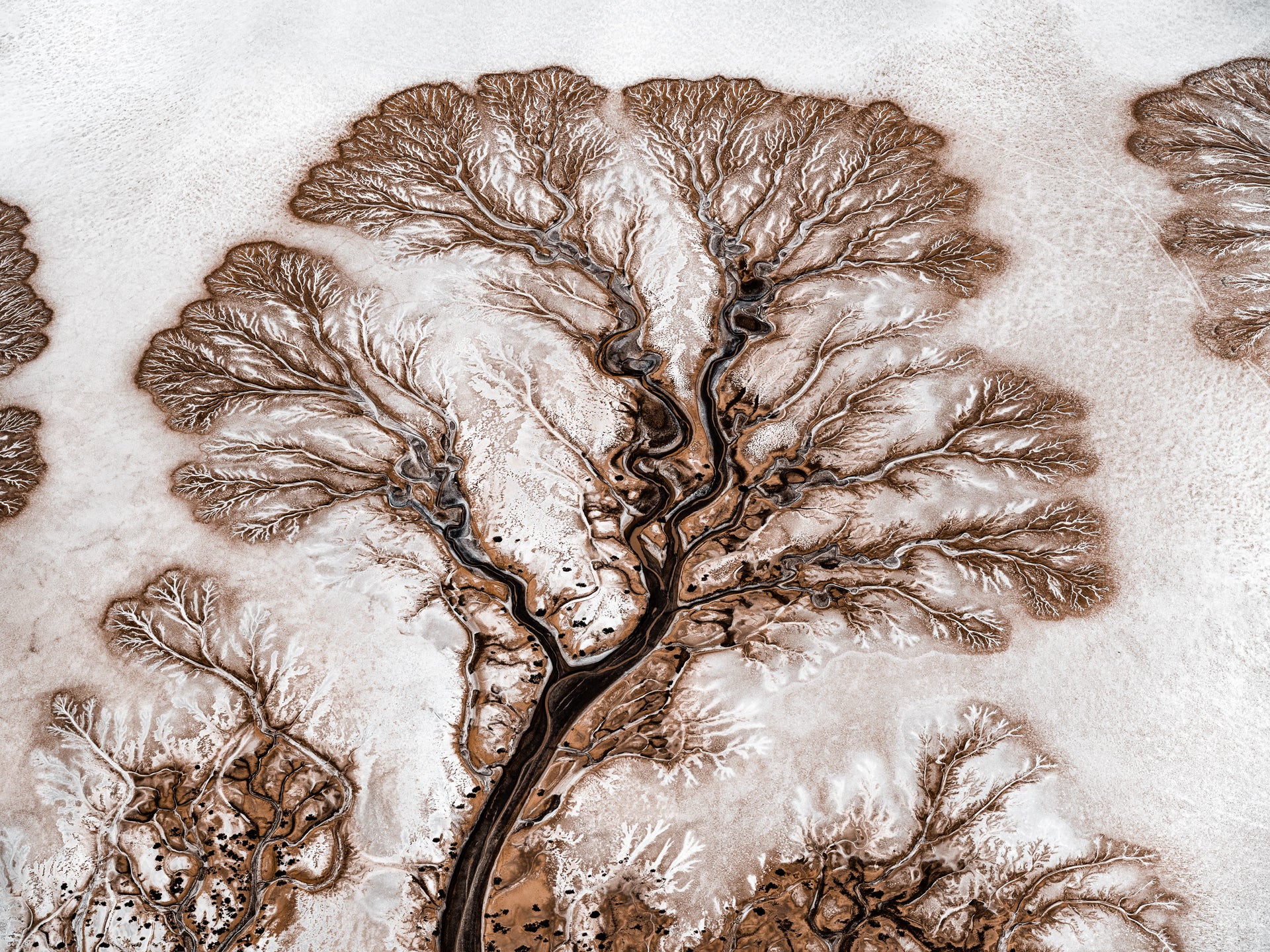 N°TCRDS05 (The Colorado River Delta Series) by Tom Hegen, limited edition photography