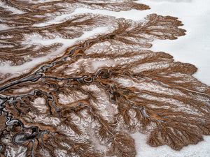 N°TCRDS07 (The Colorado River Delta Series)