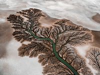 N°TCRDS08 (The Colorado River Delta Series)