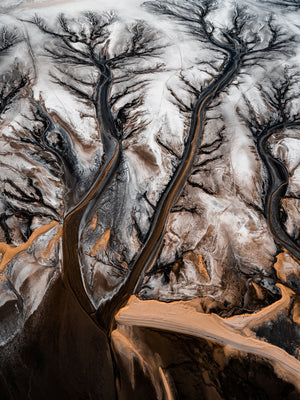 N°TCRDS11 (The Colorado River Delta Series)