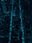 N°TNYCS05 (The New York City Series) by Tom Hegen, limited edition photography