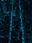 N°TNYCS05 (The New York City Series) by Tom Hegen, limited edition photography