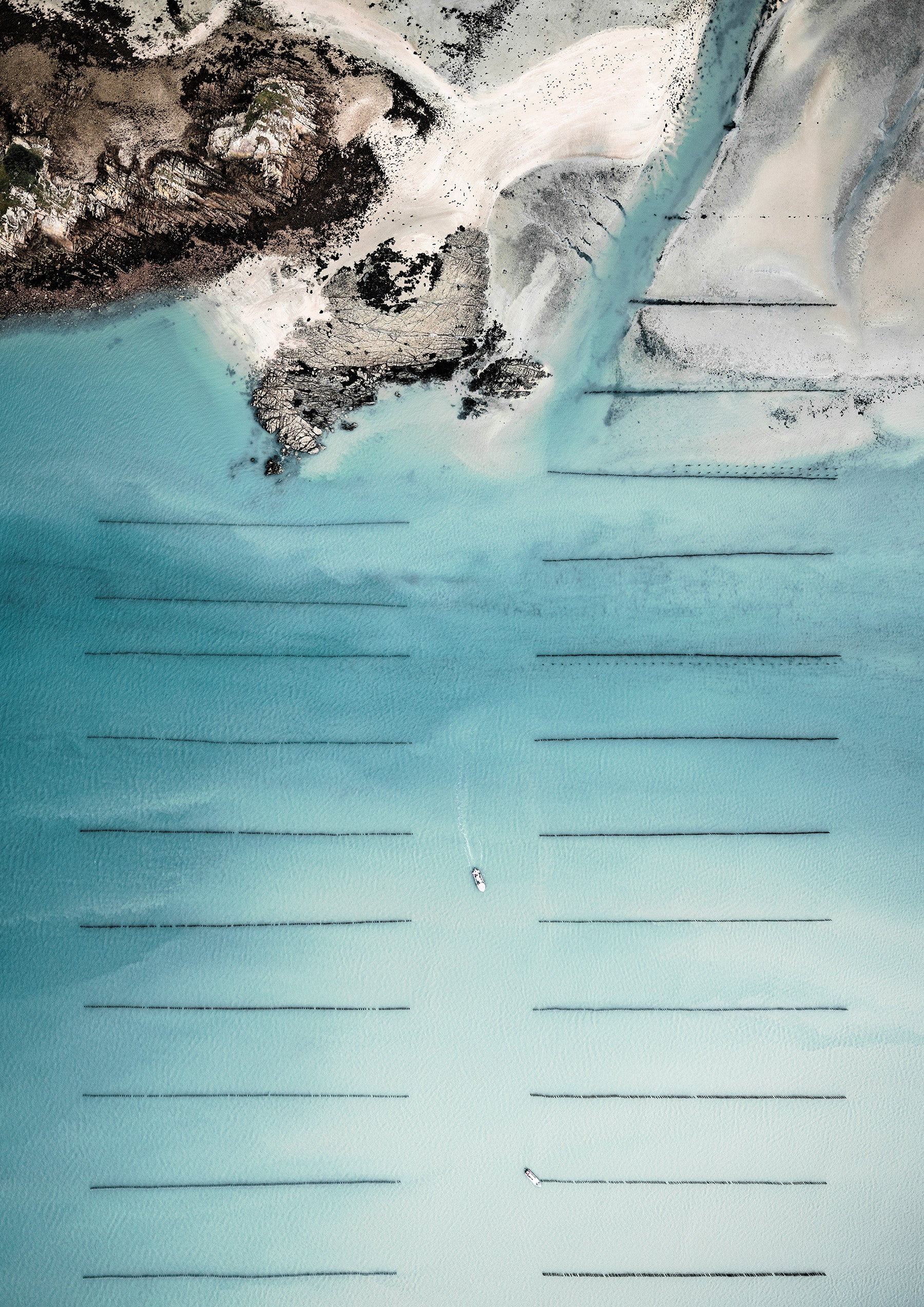 N°TOFS02 (Oyster Farm Series) by Tom Hegen, limited edition photography