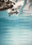 N°TOFS02 (Oyster Farm Series) by Tom Hegen, limited edition photography