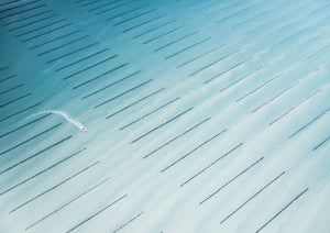 N°TOFS04 (Oyster Farm Series)