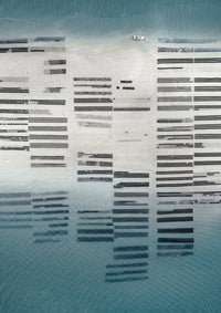 N°TOFS05 (Oyster Farm Series)