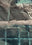 N°TOFS08 (Oyster Farm Series) by Tom Hegen, limited edition photography