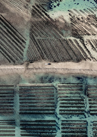 N°TOFS08 (Oyster Farm Series)