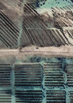 N°TOFS08 (Oyster Farm Series)