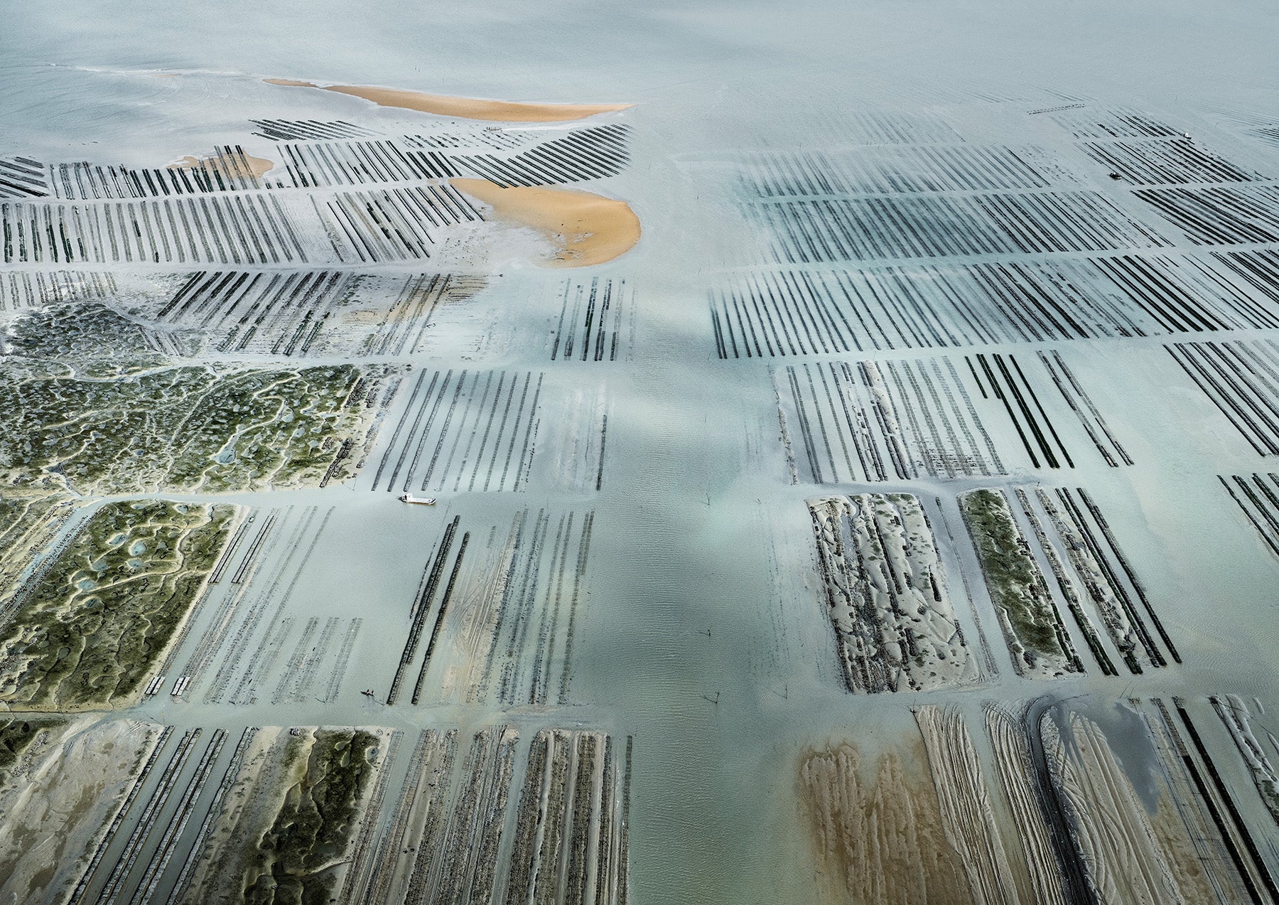 N°TOFS09 (Oyster Farm Series) by Tom Hegen, limited edition photography