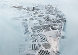 N°TOFS11 (Oyster Farm Series)