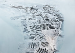 N°TOFS11 (Oyster Farm Series) by Tom Hegen, limited edition photography