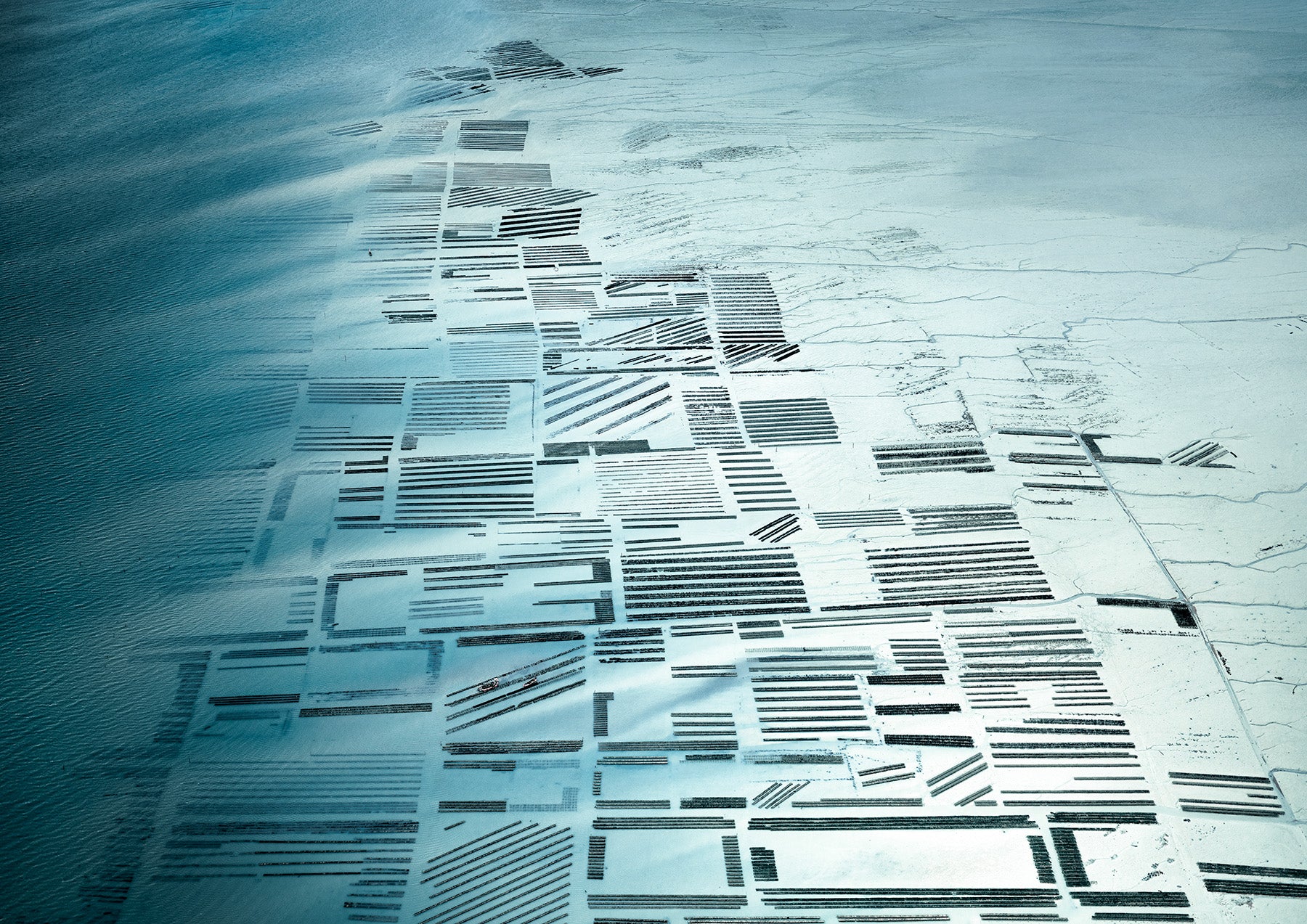 N°TOFS12 (Oyster Farm Series) by Tom Hegen, limited edition photography