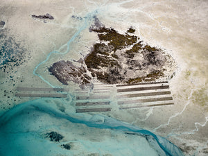 N°TOFS14 (Oyster Farm Series)