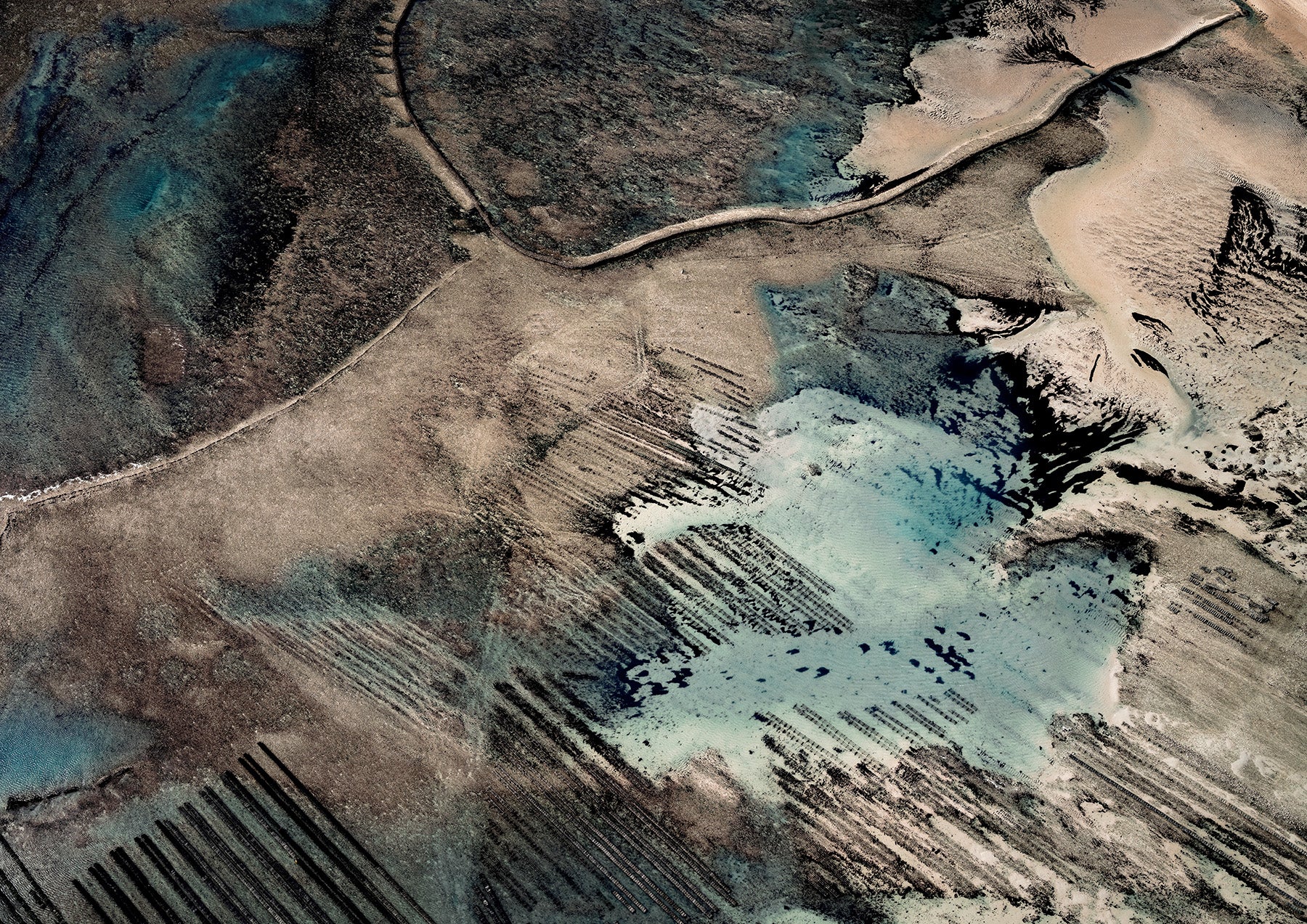 N°TOFS16 (Oyster Farm Series) by Tom Hegen, limited edition photography