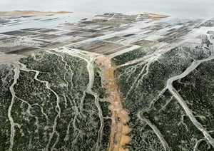 N°TOFS18 (Oyster Farm Series)