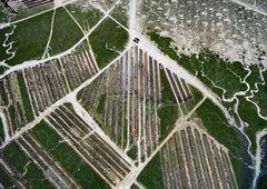 N°TOFS19 (Oyster Farm Series) by Tom Hegen, limited edition photography