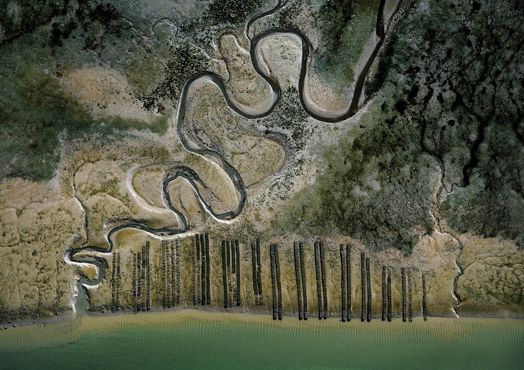 N°TOFS20 (Oyster Farm Series) by Tom Hegen, limited edition photography