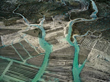 N°TOFS22 (Oyster Farm Series)