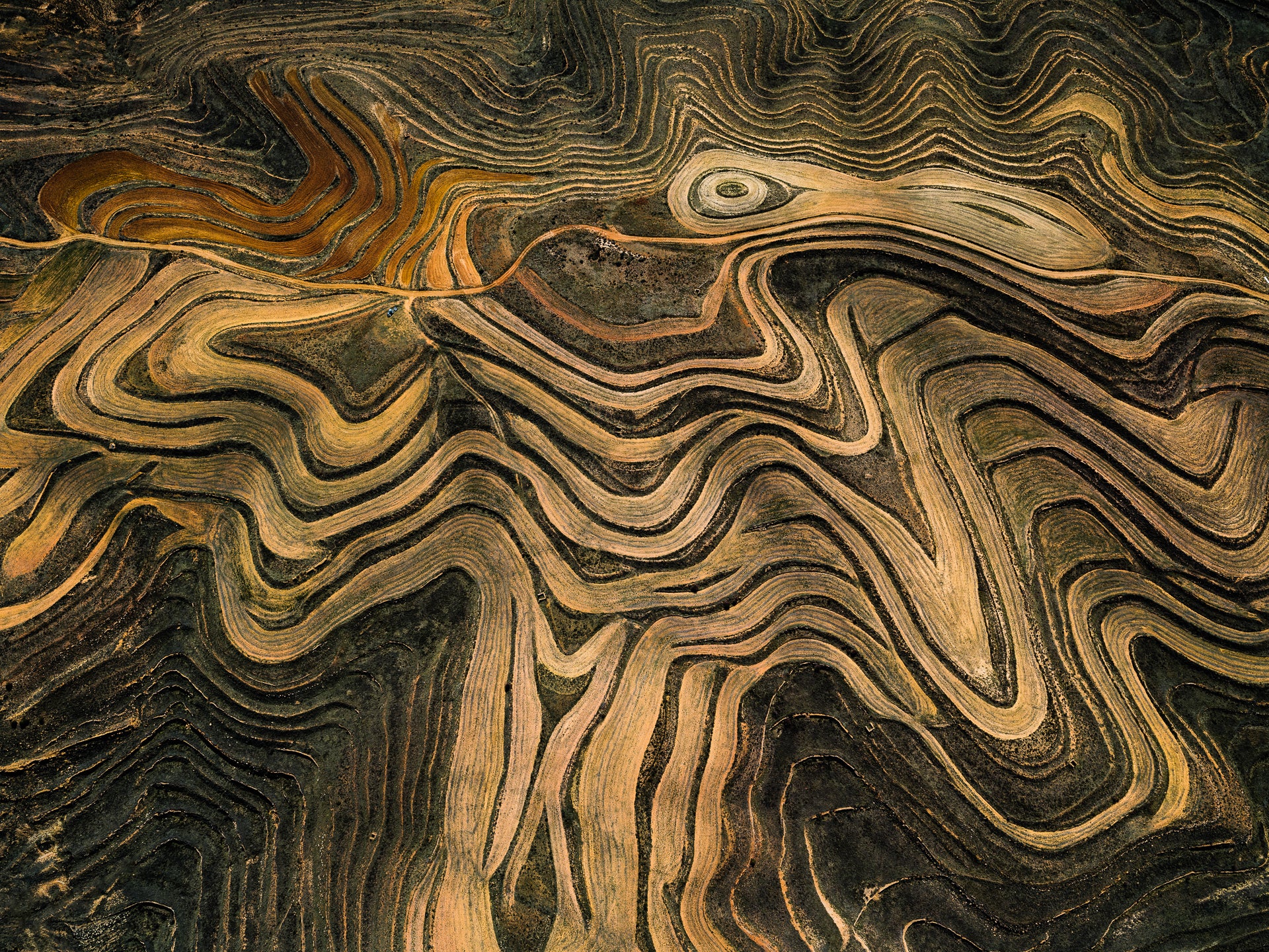 N°TSFSII01 (The Spanish Farmland Series II, Spain) by Tom Hegen, limited edition photography