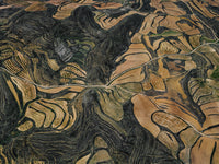 N°TSFSII02 (The Spanish Farmland Series II, Spain)