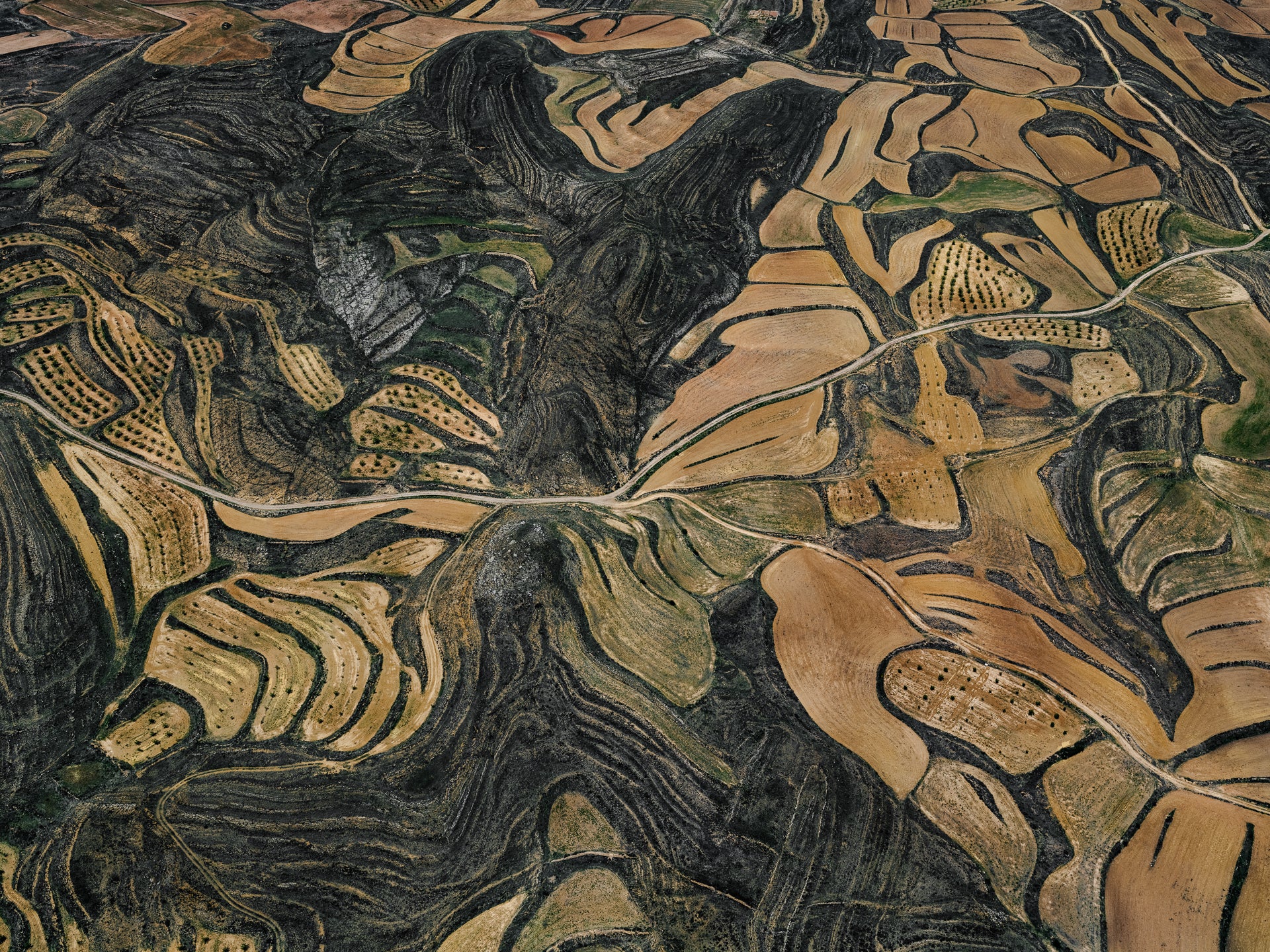N°TSFSII02 (The Spanish Farmland Series II, Spain) by Tom Hegen, limited edition photography