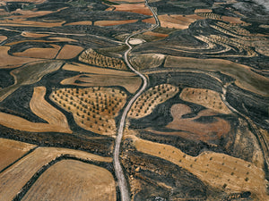 N°TSFSII03 (The Spanish Farmland Series II, Spain)