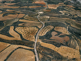N°TSFSII03 (The Spanish Farmland Series II, Spain)