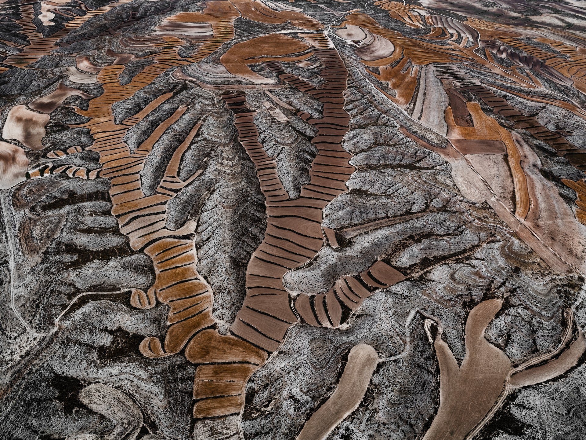 N°TSFSII07 (The Spanish Farmland Series II, Spain) by Tom Hegen, limited edition photography