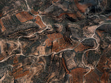 N°TSFSII09 (The Spanish Farmland Series II, Spain)