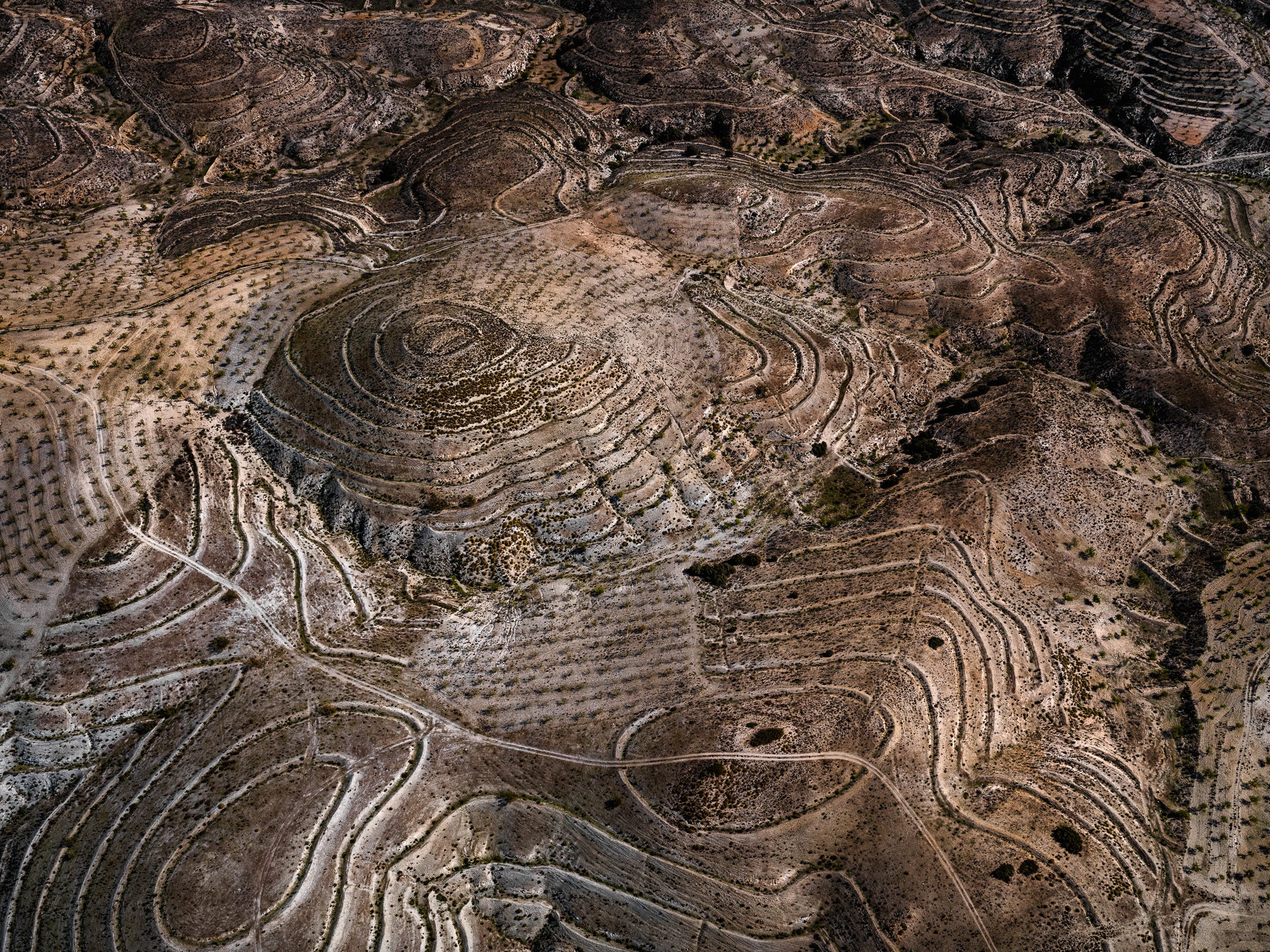 N°TSFSII11 (The Spanish Farmland Series II, Spain) by Tom Hegen, limited edition photography
