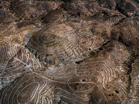 N°TSFSII11 (The Spanish Farmland Series II, Spain)