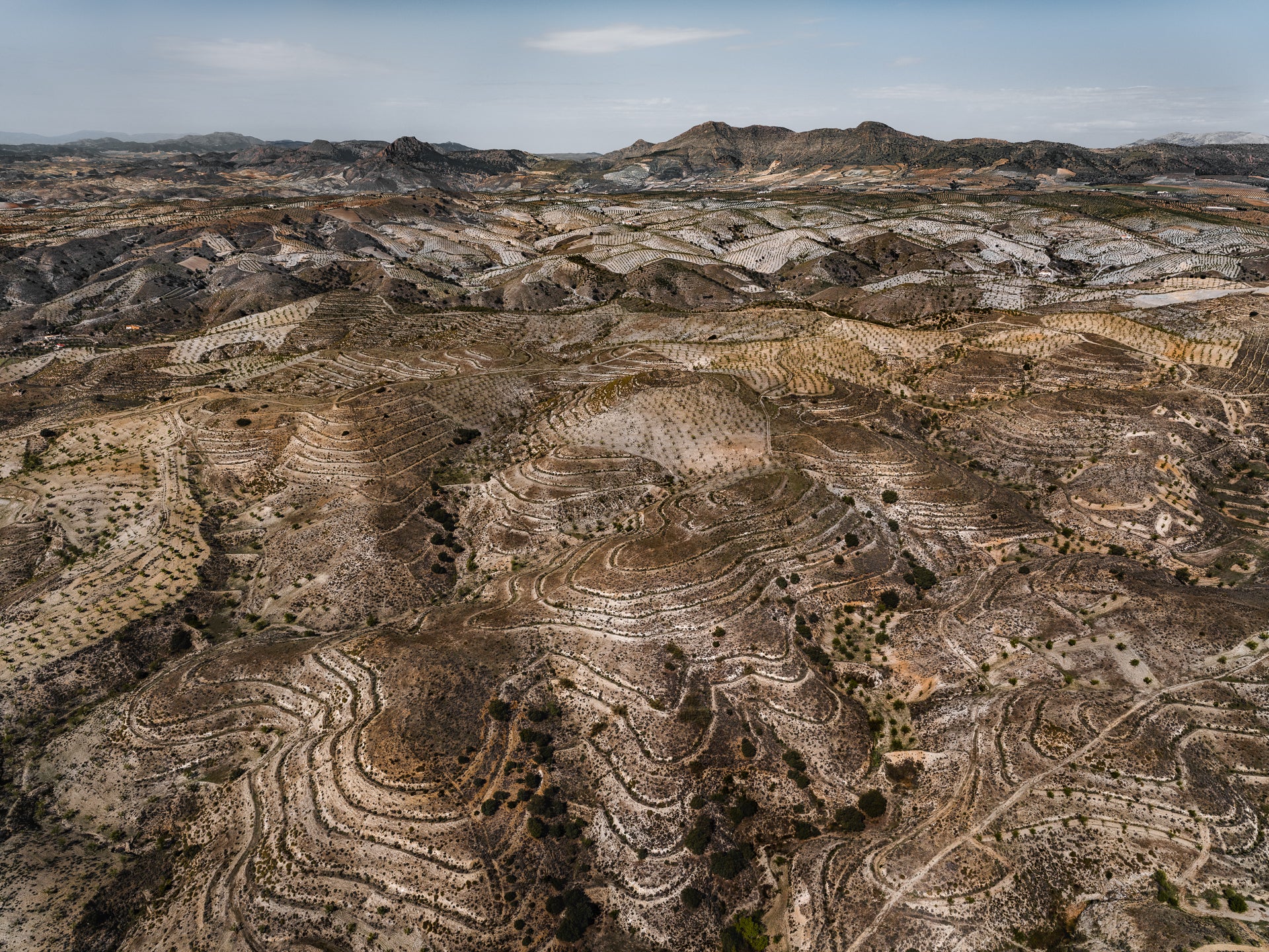N°TSFSII12 (The Spanish Farmland Series II, Spain) by Tom Hegen, limited edition photography