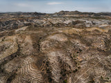 N°TSFSII12 (The Spanish Farmland Series II, Spain)