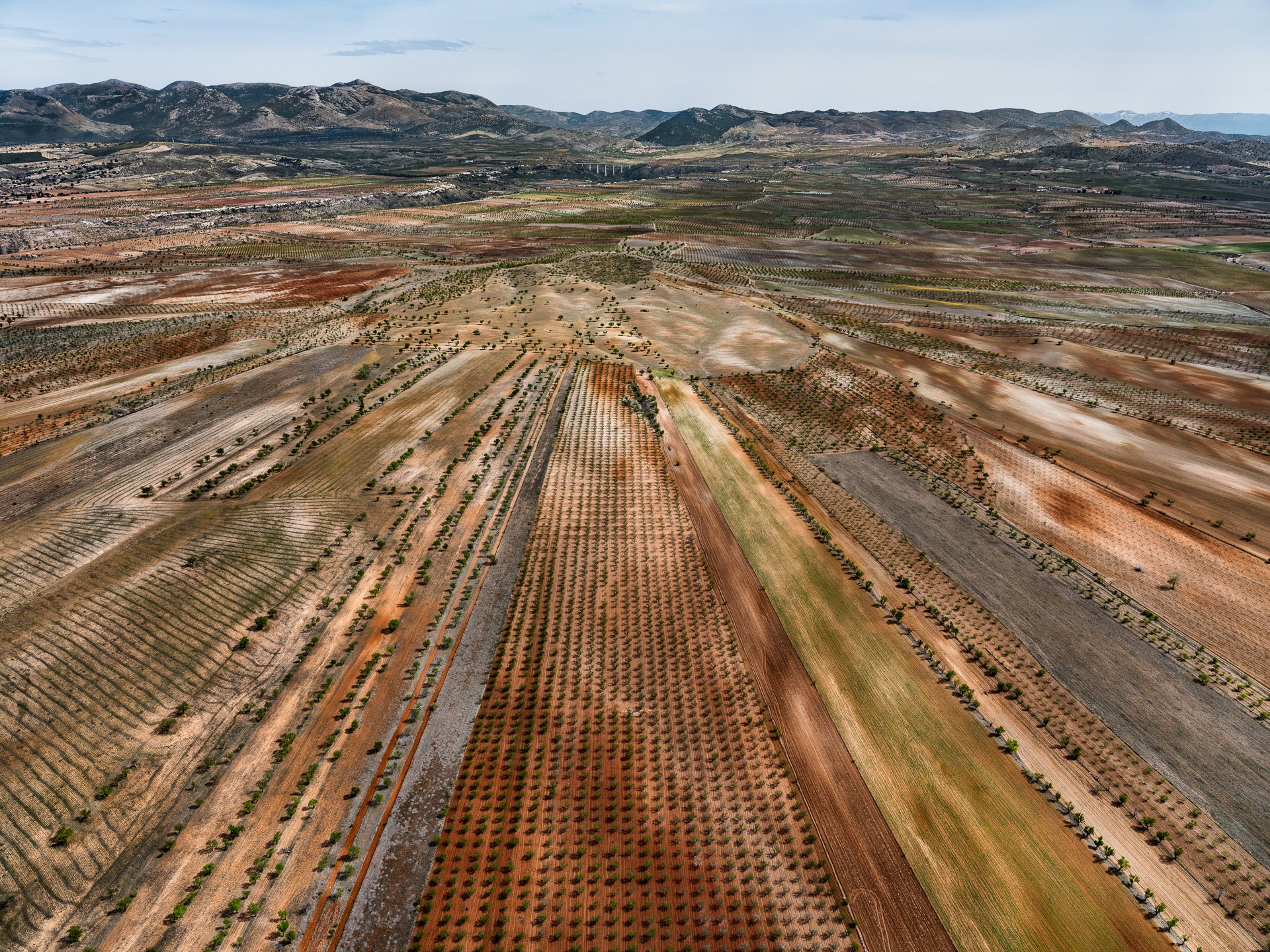 N°TSFSII14 (The Spanish  Farmland Series II, Spain) by Tom Hegen, limited edition photography