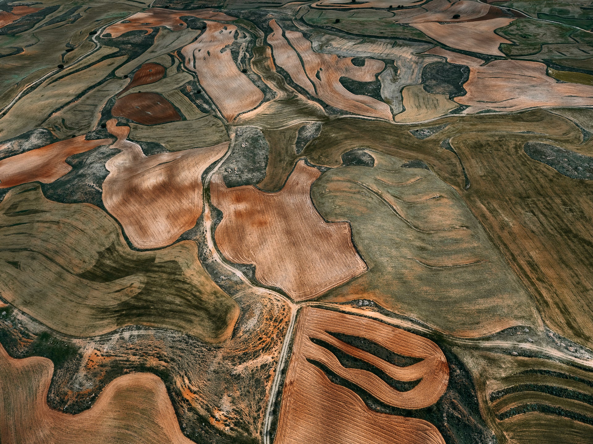 N°TSFSII17 (The Spanish  Farmland Series II, Spain) by Tom Hegen, limited edition photography