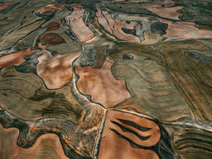 N°TSFSII17 (The Spanish  Farmland Series II, Spain)