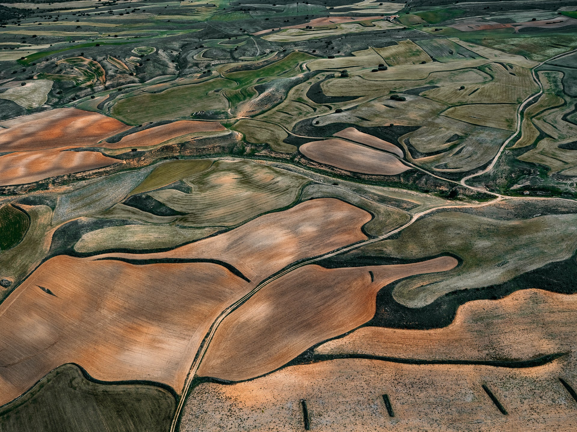 N°TSFSII19 (The Spanish  Farmland Series II, Spain) by Tom Hegen, limited edition photography