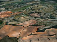 N°TSFSII19 (The Spanish Farmland Series II, Spain)