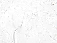 N°TSPS08 (The Swiss Pass Series, Fluelapass, Switzerland)