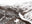 N°TSPS13 (The Swiss Pass Series, Ofenpass, Switzerland) by Tom Hegen, limited edition photography