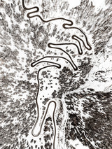 N°TSPS17 (The Swiss Pass Series, Malojapass, Switzerland)
